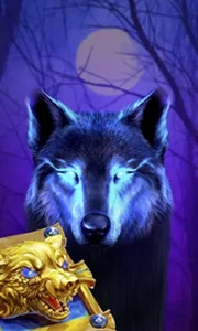 Book Of The Night Wolf